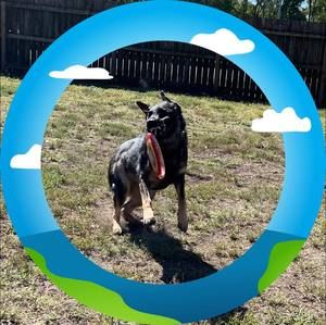 Meet your Posher, Sam